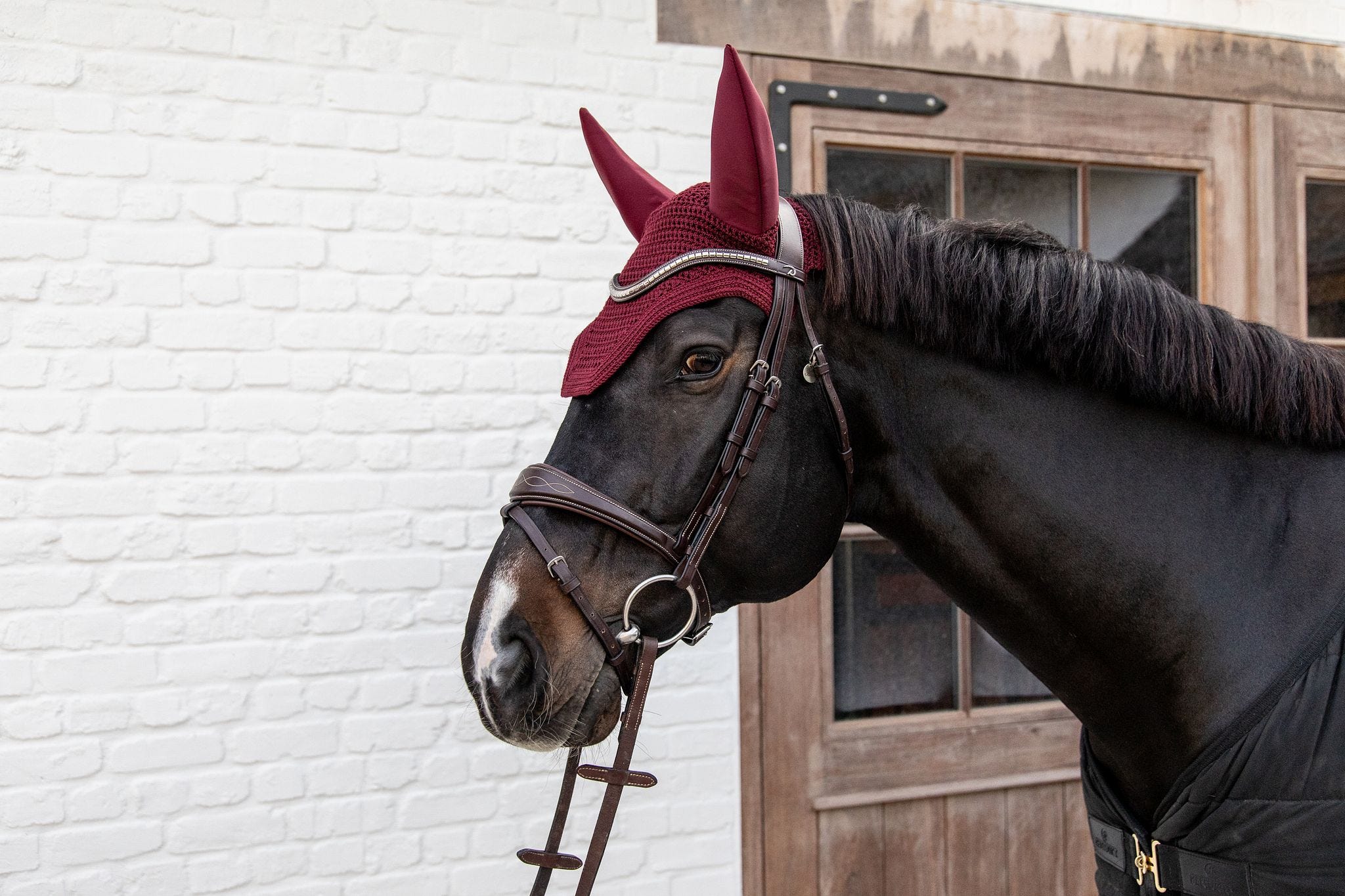 Fliegenhaube Wellington Soundless, WB - KENTUCKY HORSEWEAR