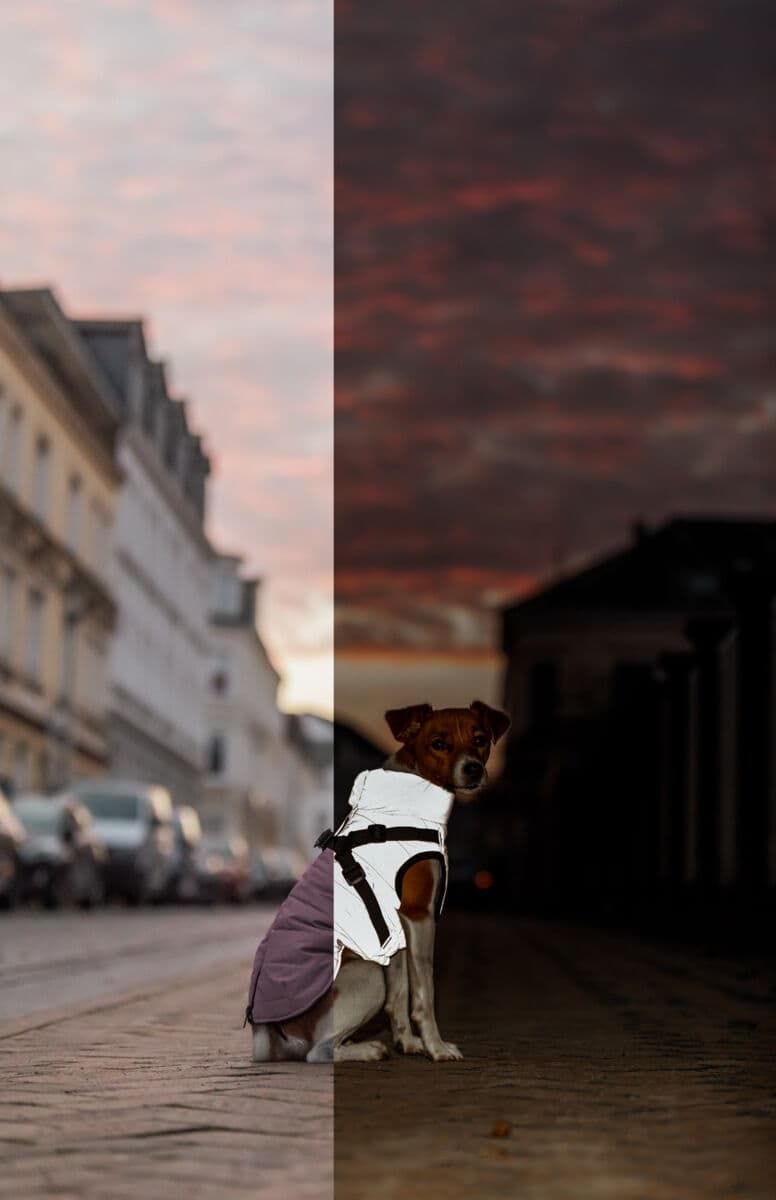 Geschirrwintermantel Pontis Reflect - TRIXIE