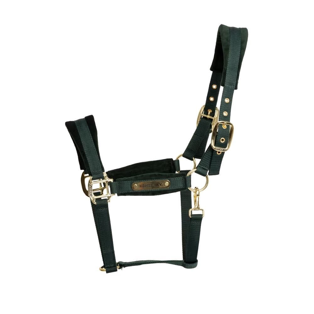Halfter Velvet - KENTUCKY HORSEWEAR