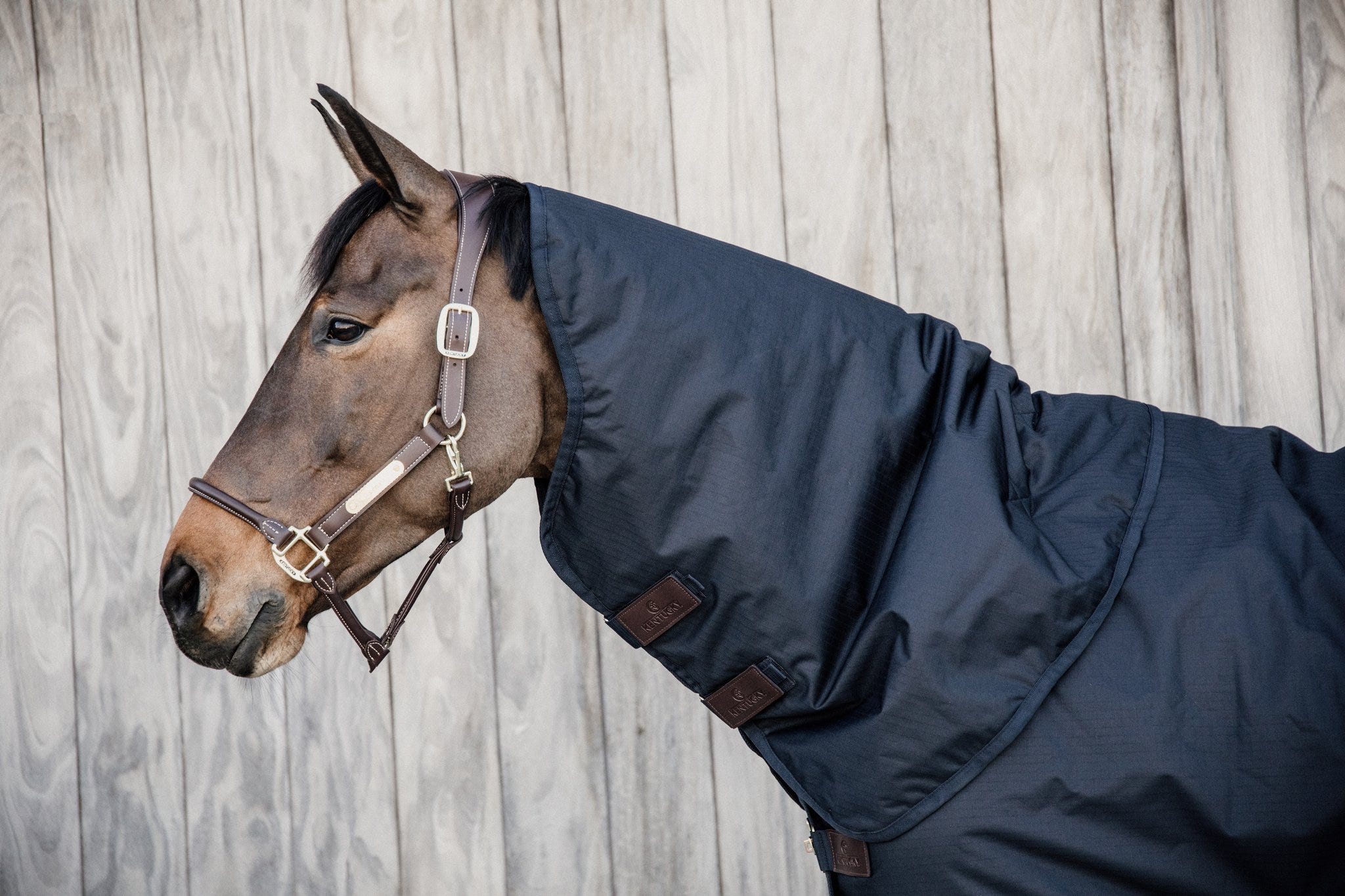 Halsteil Classic, 150g - KENTUCKY HORSEWEAR