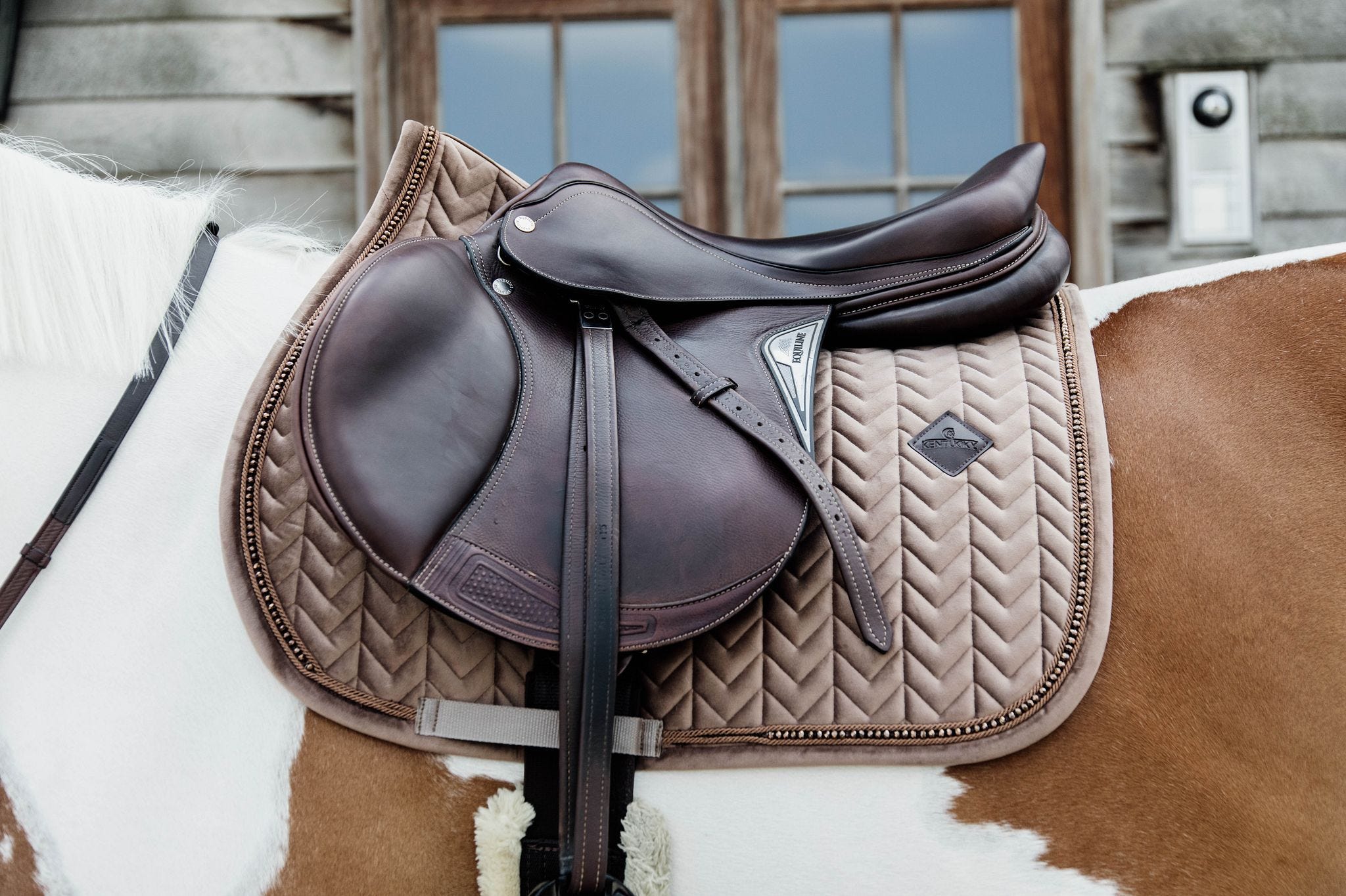 Springschabracke Samt Pearls, WB-SP - KENTUCKY HORSEWEAR