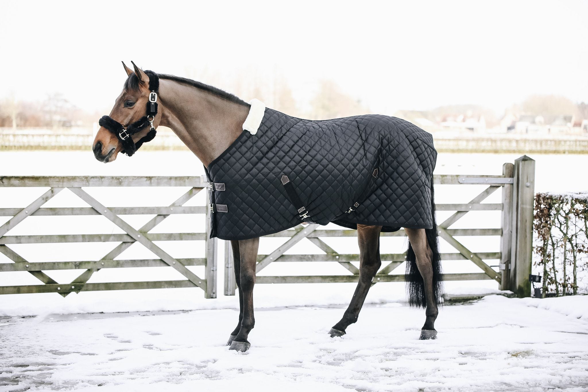 Stalldecke 200g 600D - KENTUCKY HORSEWEAR