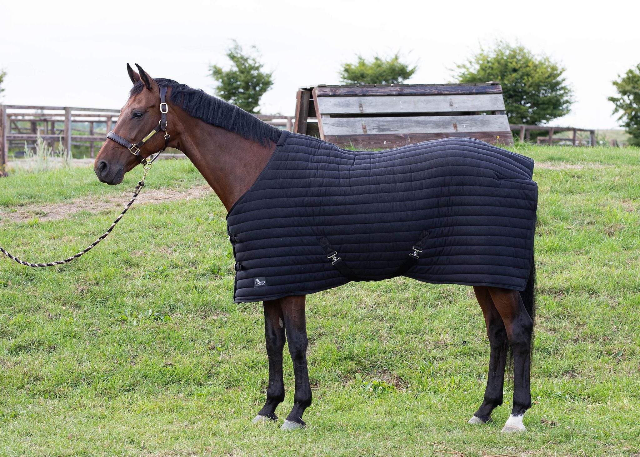 Unterdecke Powerliner 200g - Harry's Horse
