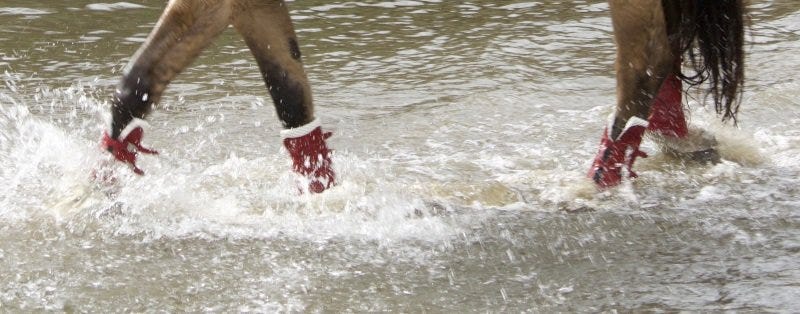 Gera Performance Gamaschen im Wasser