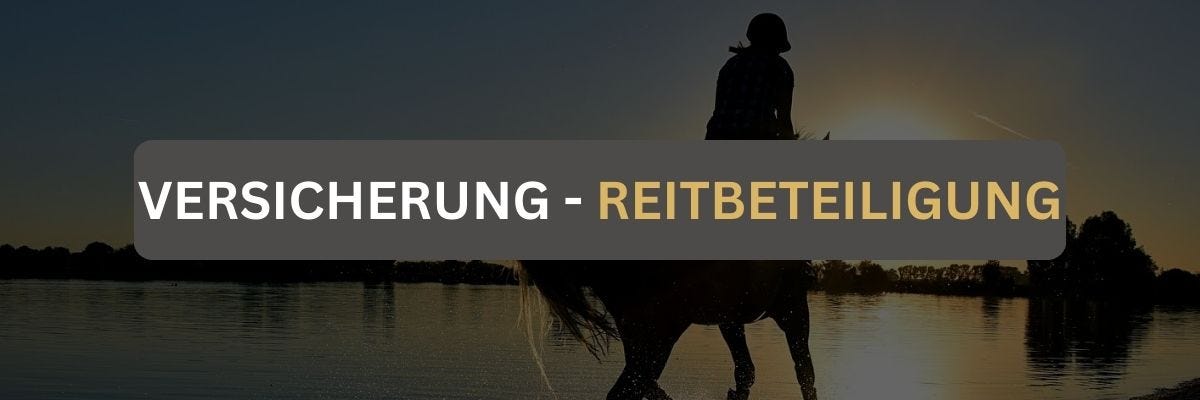 Versicherung Reitbeteiligung Reiterin galoppiert in den Sonnenuntergang
