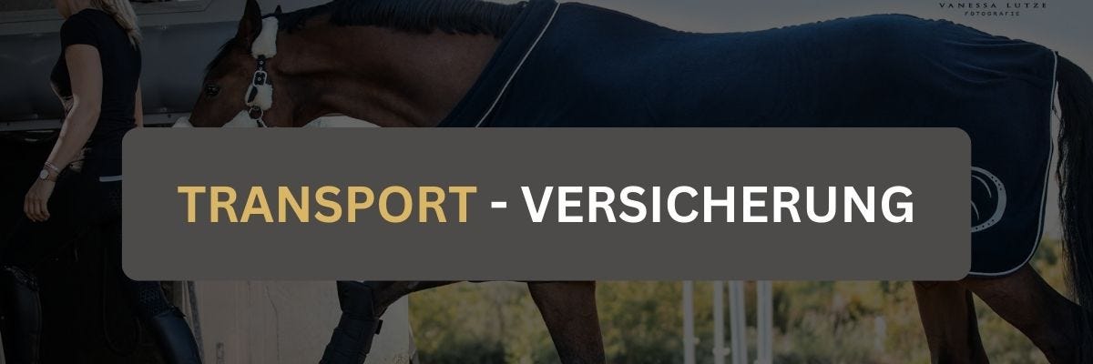 Transport Versicherung Ein PFerd wird gerade verladen