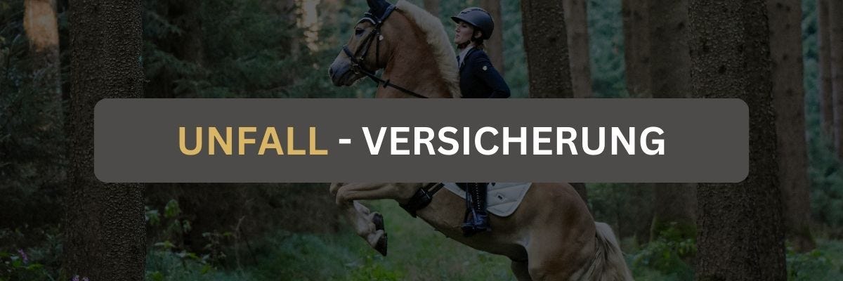Unfallversicherung Mädchen sitzt auf einem steigenden Haflinger