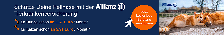 Leadformular Allianz Banner mit Beratungsangebot für eine Versicherung bei der Allianz