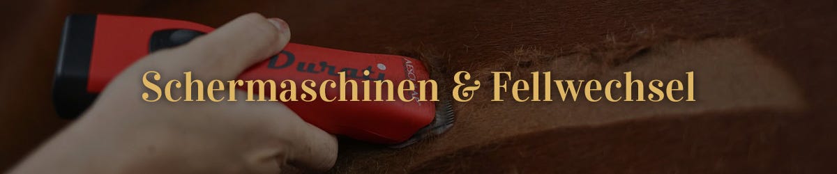 Schermaschinen und Fellwechsel Pferd wird mit roter Schermaschine geschoren