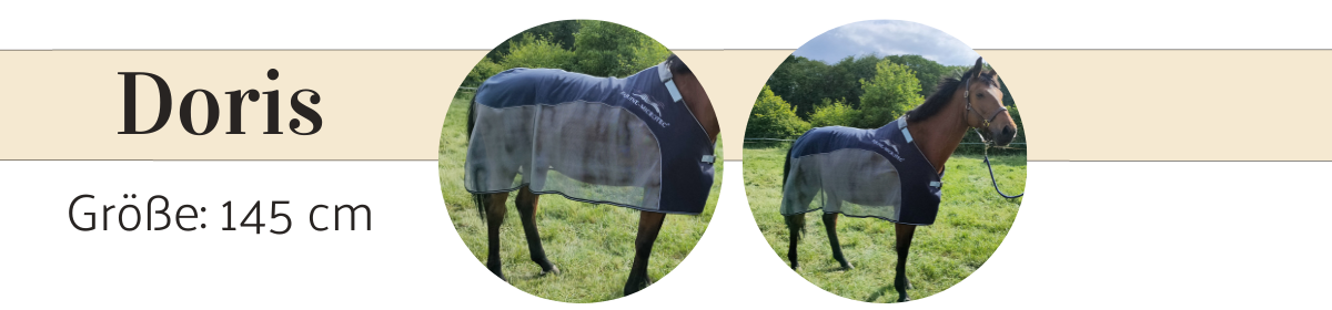 Multifunktionsdecke von Equine Microtec in der Größe 145 cm