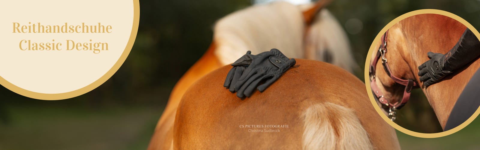 Reithandschuhe von RidersChoice Schwarze Handschuhe liegen auf dem Pferd