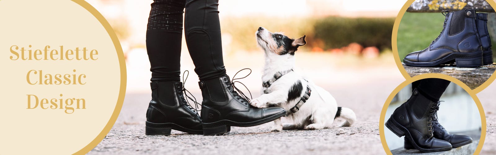 Stiefeletten von RidersChoice - Qualität für alle Hund schält seine Pfote gegen das Bein seines Besitzers
