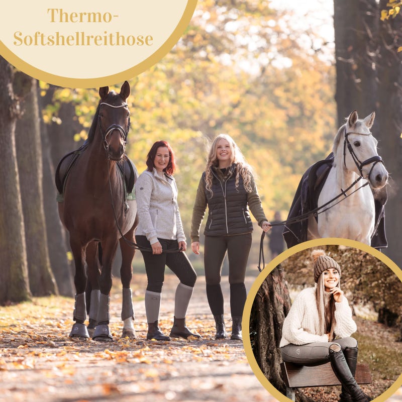 Softshellreithose von RidersChoice Zwei Frauen stehen zwischen zwei Pferden auf einer herbstlichen Allee
