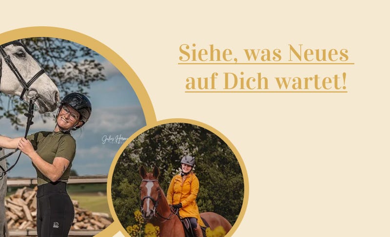 Zu den neuen Produkten gehen Link zu weiteren Neuigkeiten von RidersChoice