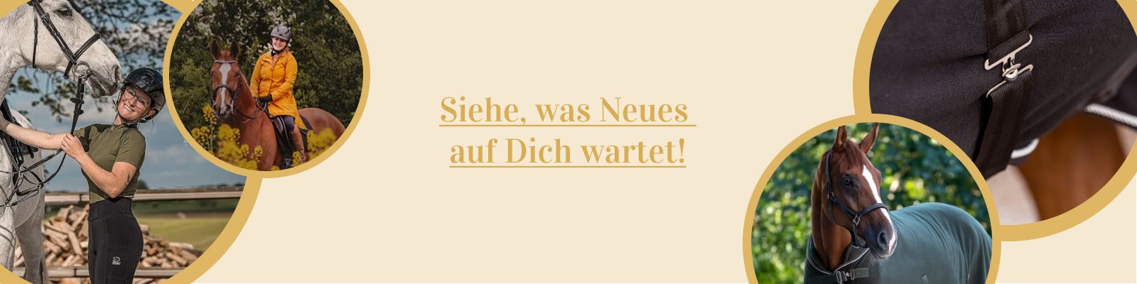 Zu den neuen Produkten gehen Link zu weiteren Neuigkeiten von RidersChoice